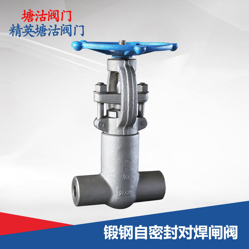 鍛鋼自密封對(duì)焊閘閥