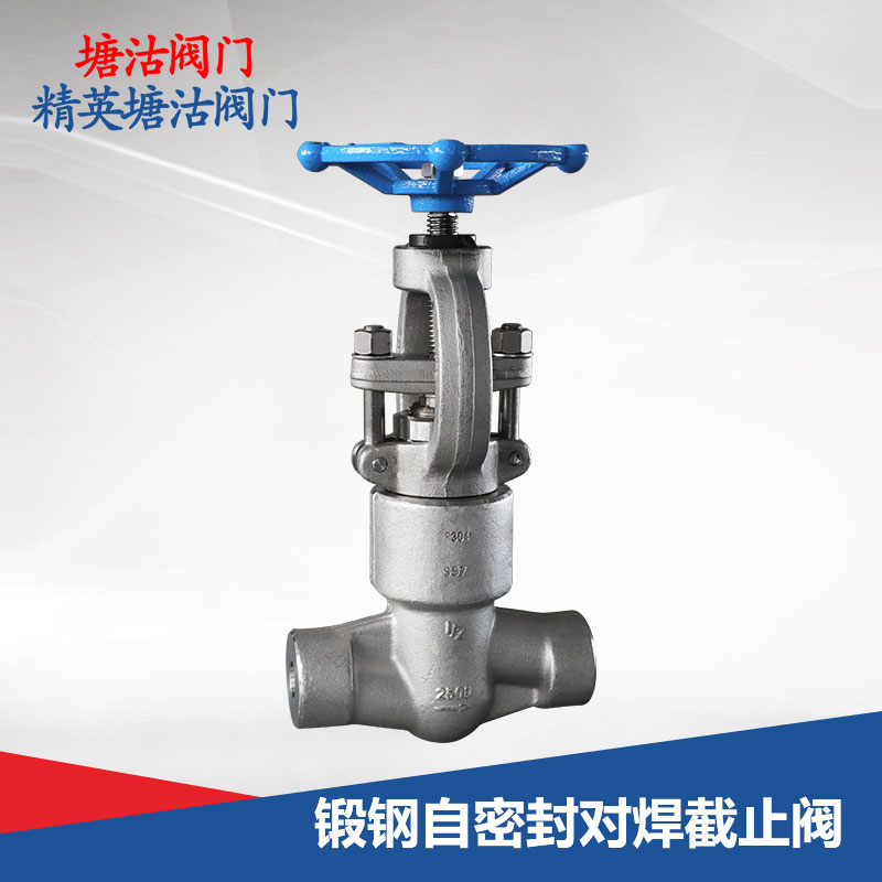 鍛鋼自密封對(duì)焊截止閥