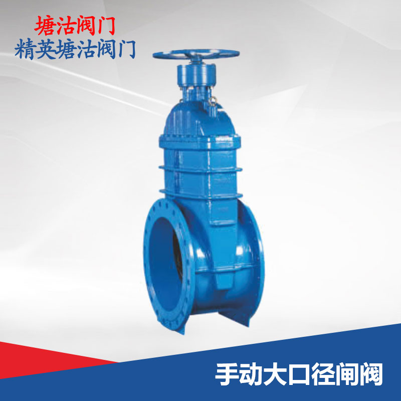 手動(dòng)大口徑閘閥